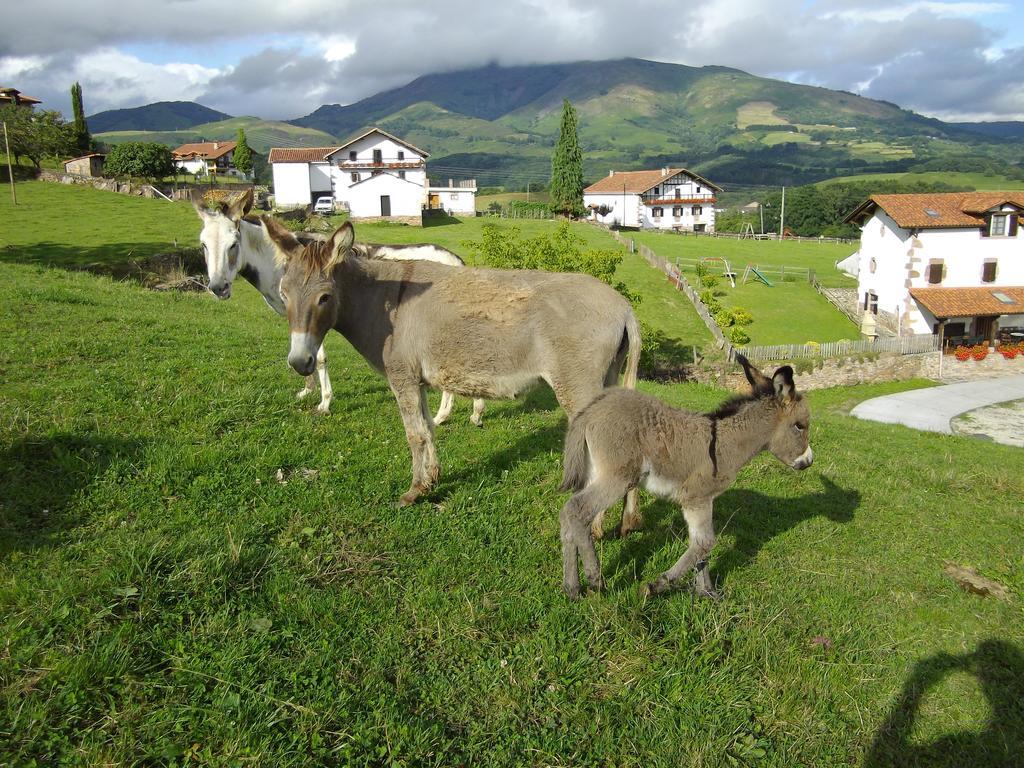 Casa Rural Petisansenea II Zuaztoy de Azpilcueta Eksteriør bilde